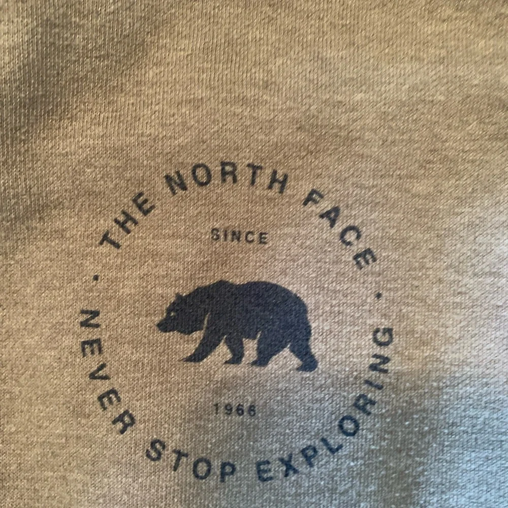 The North Face Men’s Charcoal Gray Hooded Pullover Sweatshirt